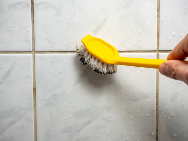 Best Emergency Mold Remediation in La Harpe, IL