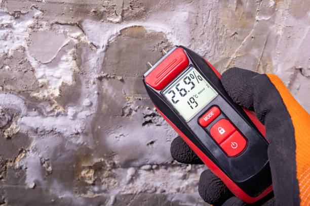 Best Localized Mold Remediation (e.g., coastal areas, humid climates) in La Harpe, IL
