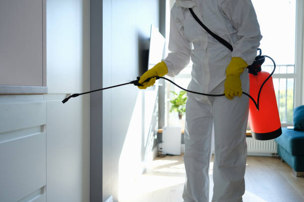 Best HVAC Mold Remediation in La Harpe, IL
