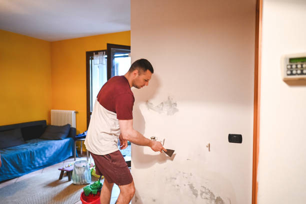 Best Mold Testing and Inspection Services in La Harpe, IL